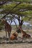 Filename : NAK_2524.JPG
Filesize : 964KB
Dimensions : 1750x2625
Date added : May 31, 2022 NAK_2524.JPG