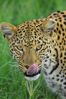 Filename : NAK_6082.JPG
Filesize : 1165KB
Dimensions : 1750x2625
Date added : Feb 14, 2025 NAK_6082.JPG
