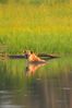 Filename : NAK_6145.JPG
Filesize : 949KB
Dimensions : 1750x2625
Date added : Feb 14, 2025 NAK_6145.JPG