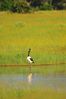 Filename : NAK_6154.JPG
Filesize : 786KB
Dimensions : 1750x2625
Date added : Feb 14, 2025 NAK_6154.JPG