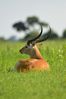 Filename : NAK_6281.JPG
Filesize : 683KB
Dimensions : 1750x2625
Date added : Feb 14, 2025 NAK_6281.JPG