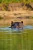 Filename : NAK_6288.JPG
Filesize : 818KB
Dimensions : 1750x2625
Date added : Feb 14, 2025 NAK_6288.JPG