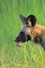 Filename : NAK_6373.JPG
Filesize : 915KB
Dimensions : 1750x2625
Date added : Feb 14, 2025 NAK_6373.JPG