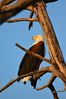 Filename : NAK_6380.JPG
Filesize : 792KB
Dimensions : 1750x2625
Date added : Feb 14, 2025 NAK_6380.JPG