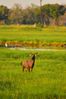 Filename : NAK_6382.JPG
Filesize : 1023KB
Dimensions : 1750x2625
Date added : Feb 14, 2025 NAK_6382.JPG