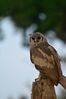 NAK_6707+%28Small%29.JPG
