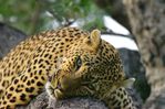 NAK_6730+%28Small%29.JPG