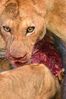 NAK_6787+%28Small%29.JPG