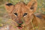 NAK_6802+%28Small%29.JPG