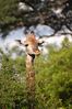 Sabi Sabi_20210211_170821 (Custom).JPG