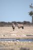 Filename : TK_20210820_122338+%28Custom%29.jpg
Filesize : 475KB
Dimensions : 1750x2622
Date added : Aug 23, 2021 TK_20210820_122338+%28Custom%29.jpg