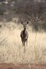 Filename : TK_20210821_114747+%28Custom%29.jpg
Filesize : 733KB
Dimensions : 1750x2622
Date added : Aug 23, 2021 TK_20210821_114747+%28Custom%29.jpg