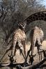 Filename : TK_20210821_123033+%28Custom%29.jpg
Filesize : 907KB
Dimensions : 1750x2622
Date added : Aug 23, 2021 TK_20210821_123033+%28Custom%29.jpg