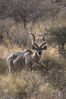Filename : TK_20210822_094435+%28Custom%29.jpg
Filesize : 1055KB
Dimensions : 1750x2622
Date added : Aug 23, 2021 TK_20210822_094435+%28Custom%29.jpg