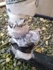 Filename : IMG_20180205_092707869.jpg
Filesize : 997KB
Dimensions : 1750x2333
Date added : Feb 05, 2018 IMG_20180205_092707869.jpg