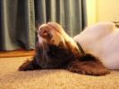 Filename : M1.jpg
Filesize : 37KB
Dimensions : 448x336
Date added : Jan 17, 2011 M1.jpg