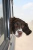 Filename : M2.jpg
Filesize : 27KB
Dimensions : 299x448
Date added : Jan 17, 2011 M2.jpg