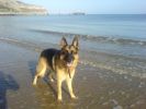 Filename : Y2.jpg
Filesize : 26KB
Dimensions : 448x336
Date added : Jan 17, 2011 Y2.jpg