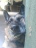 Filename : Y3.jpg
Filesize : 26KB
Dimensions : 336x448
Date added : Jan 17, 2011 Y3.jpg