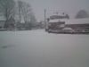 DSC01373.JPG