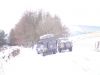DSC01383.JPG
