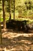 DSC_0509.JPG