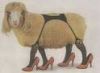 Sheepshoes.jpg