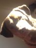 Filename : image~3.jpg
Filesize : 109KB
Dimensions : 755x1008
Date added : Nov 04, 2016 image~3.jpg