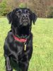 Filename : image~73.jpeg
Filesize : 831KB
Dimensions : 1536x2048
Date added : Apr 24, 2017 image~73.jpeg