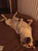 Filename : D00BC902-837F-4610-BA6D-4522B896A6B9.jpeg
Filesize : 174KB
Dimensions : 1200x1600
Date added : Jan 26, 2018 D00BC902-837F-4610-BA6D-4522B896A6B9.jpeg
