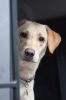 Filename : IMG_3367.JPG
Filesize : 102KB
Dimensions : 1066x1600
Date added : Aug 30, 2017 IMG_3367.JPG