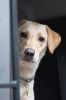 Filename : IMG_3368.JPG
Filesize : 39KB
Dimensions : 640x960
Date added : Sep 28, 2017 IMG_3368.JPG