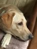 Filename : IMG_3531.JPG
Filesize : 405KB
Dimensions : 1750x2333
Date added : Aug 30, 2017 IMG_3531.JPG