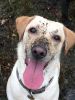 Filename : IMG_3784.JPG
Filesize : 826KB
Dimensions : 1750x2333
Date added : Mar 10, 2017 IMG_3784.JPG