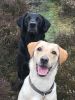 Filename : IMG_3791.JPG
Filesize : 904KB
Dimensions : 1750x2333
Date added : Mar 10, 2017 IMG_3791.JPG