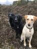 Filename : IMG_3799.JPG
Filesize : 1250KB
Dimensions : 1750x2333
Date added : Mar 10, 2017 IMG_3799.JPG