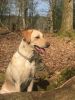 Filename : IMG_3981.JPG
Filesize : 1220KB
Dimensions : 1750x2333
Date added : Aug 30, 2017 IMG_3981.JPG