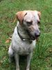 Filename : IMG_5132.JPG
Filesize : 1263KB
Dimensions : 1750x2333
Date added : Sep 08, 2017 IMG_5132.JPG