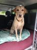 Filename : IMG_5140.JPG
Filesize : 1095KB
Dimensions : 1750x2333
Date added : Sep 28, 2017 IMG_5140.JPG