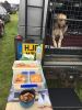 Filename : IMG_5285.JPG
Filesize : 1079KB
Dimensions : 1750x2333
Date added : Sep 28, 2017 IMG_5285.JPG