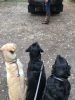 Filename : IMG_5315.JPG
Filesize : 1386KB
Dimensions : 1750x2333
Date added : Sep 28, 2017 IMG_5315.JPG
