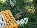 Filename : image~167.jpeg
Filesize : 748KB
Dimensions : 1750x1312
Date added : Jul 24, 2016 image~167.jpeg
