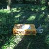 Filename : image~168.jpeg
Filesize : 1165KB
Dimensions : 1750x1750
Date added : Jul 24, 2016 image~168.jpeg
