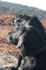 Filename : image~86.jpeg
Filesize : 256KB
Dimensions : 960x1439
Date added : Jan 13, 2016 image~86.jpeg