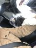 Filename : IMG_5221.JPG
Filesize : 710KB
Dimensions : 1750x2329
Date added : Mar 29, 2018 IMG_5221.JPG