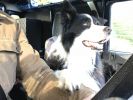 Filename : IMG_5230.JPG
Filesize : 469KB
Dimensions : 1750x1315
Date added : Mar 29, 2018 IMG_5230.JPG