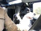 Filename : IMG_5231.JPG
Filesize : 468KB
Dimensions : 1750x1315
Date added : Mar 29, 2018 IMG_5231.JPG