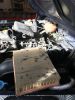 Filename : IMG_5290.jpg
Filesize : 1089KB
Dimensions : 1750x2333
Date added : Apr 06, 2018 IMG_5290.jpg