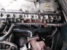 IMG_20201014_141750_annotated.jpg