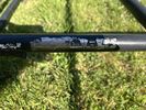 IMG_1619.jpeg